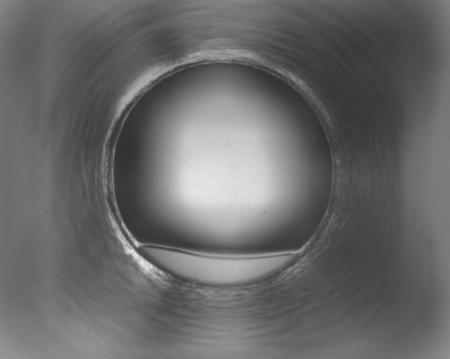 X0000077381046200610201038