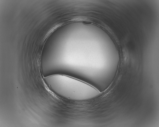 X0000077381049200610201038