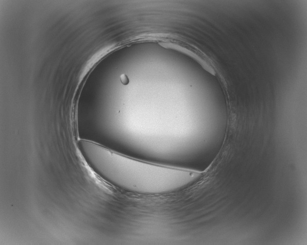 X0000077381050200610201038
