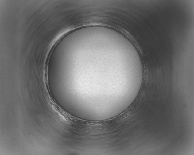 X0000077381051200610201038