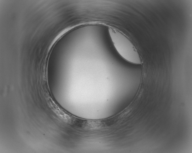 X0000077381052200610201038