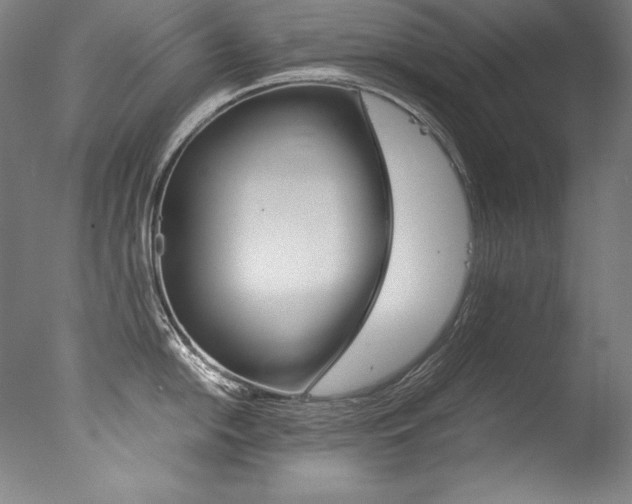 X0000077381054200610201038