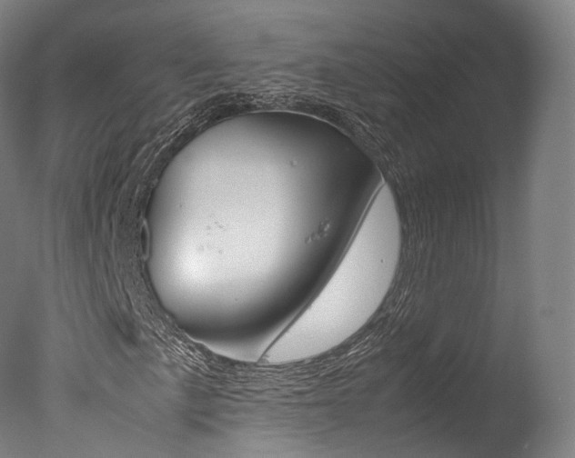 X0000077381057200610201037