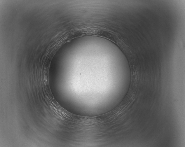 X0000077381058200610201037