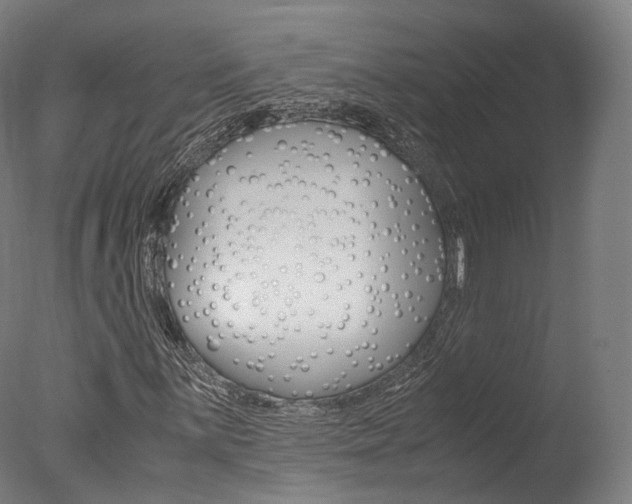 X0000077381059200610201037