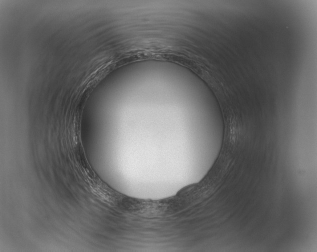 X0000077381060200610201037