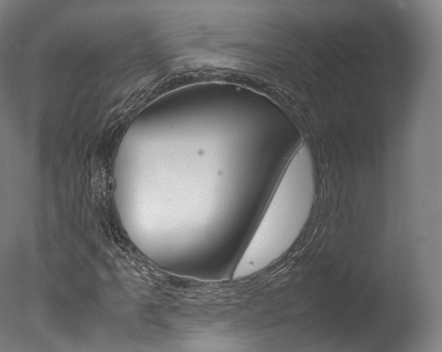 X0000077381061200610201037