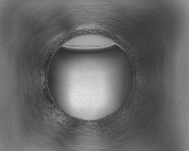 X0000077381062200610201037