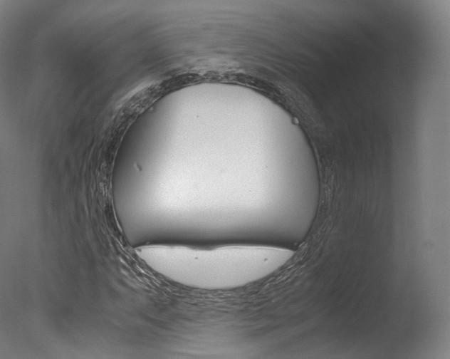 X0000077381063200610201037