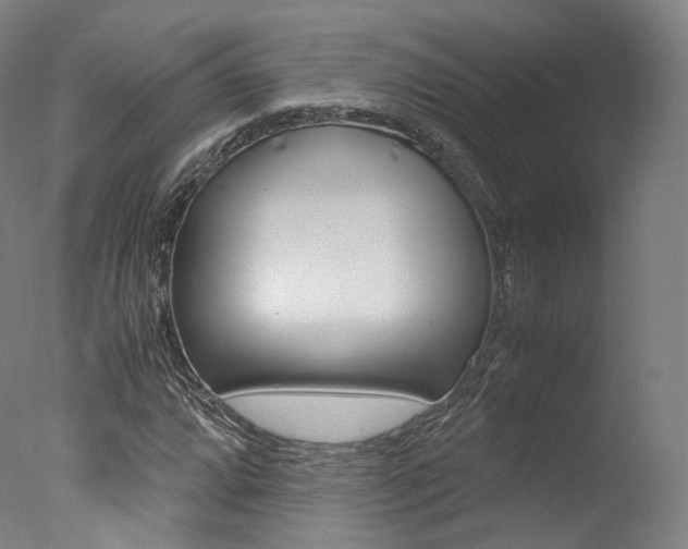 X0000077381064200610201037