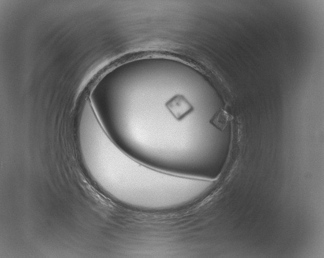 X0000077381069200610201037