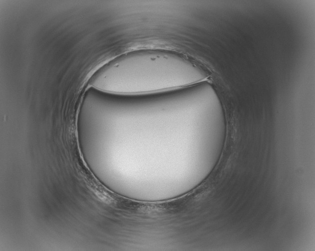 X0000077381073200610201037