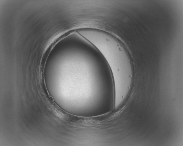 X0000077381077200610201036