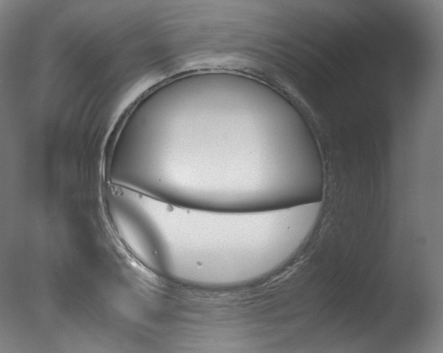 X0000077381079200610201036