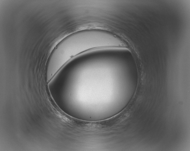 X0000077381081200610201036