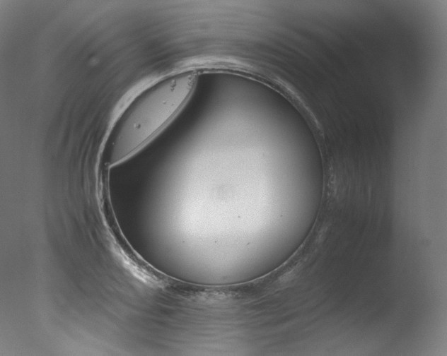 X0000077381082200610201036