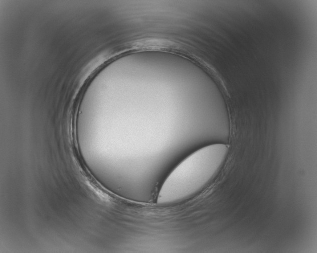 X0000077381083200610201036