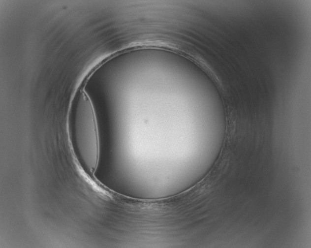 X0000077381084200610201036
