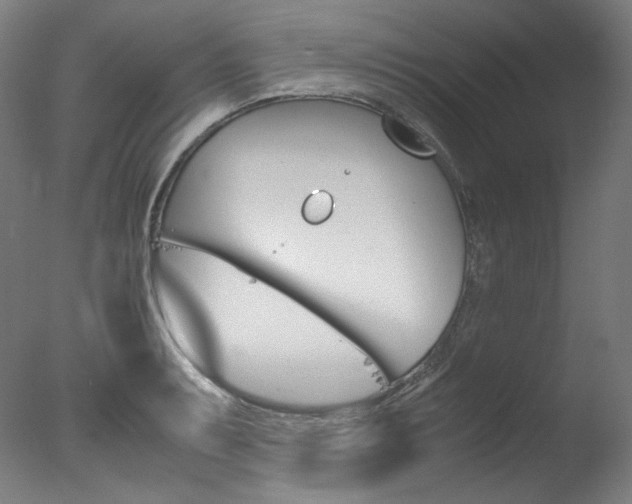 X0000077381087200610201036