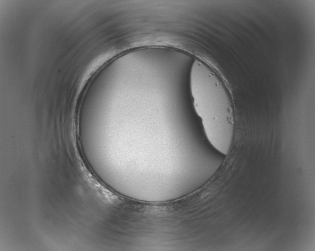 X0000077381088200610201036