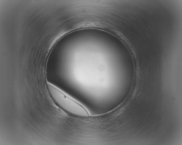 X0000077381089200610201036