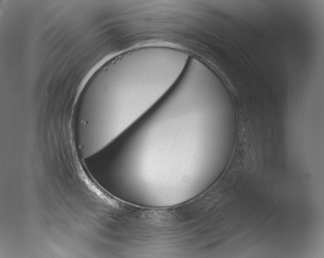 X0000077381092200610201036