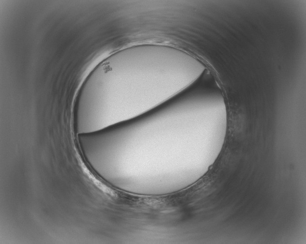 X0000077381095200610201036