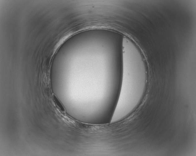X0000077381097200610201036