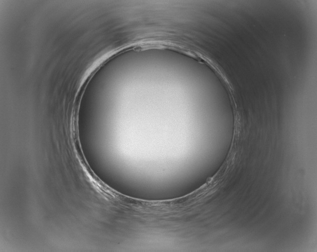 X0000077381101200610201035