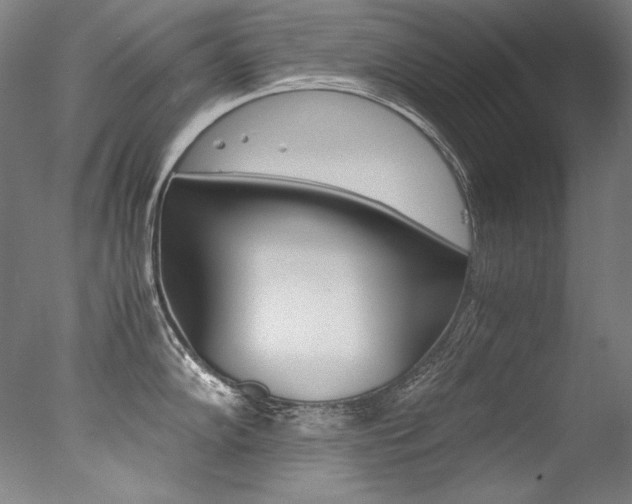 X0000077381102200610201035