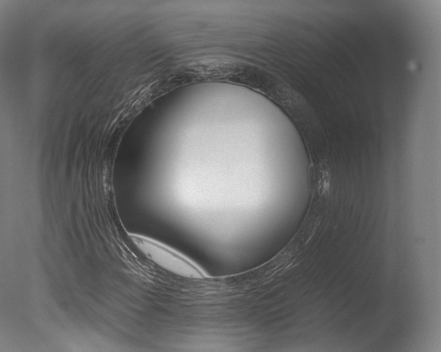 X0000077381108200610201033