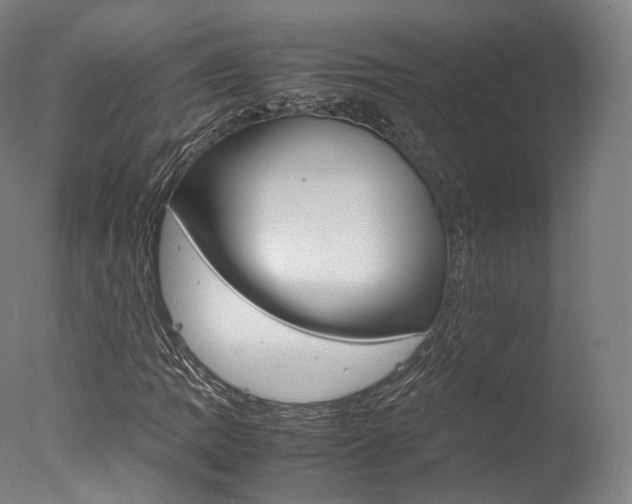 X0000077381109200610201033