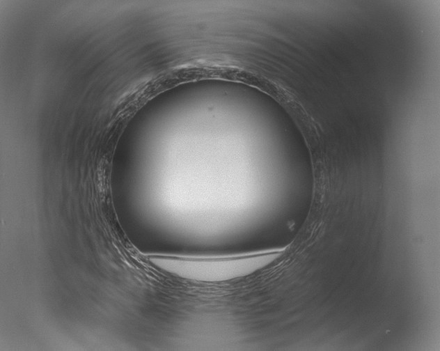 X0000077381110200610201033