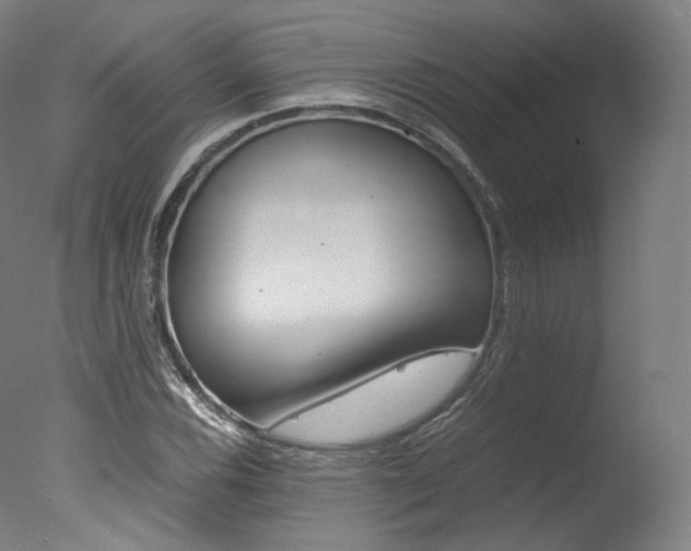 X0000077381116200610201033