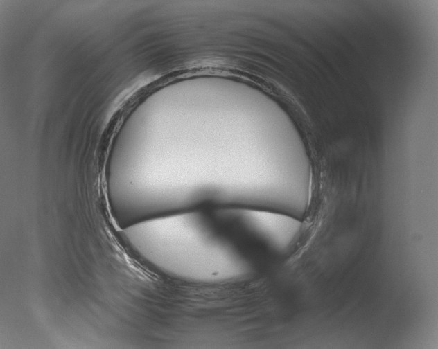 X0000077381117200610201033