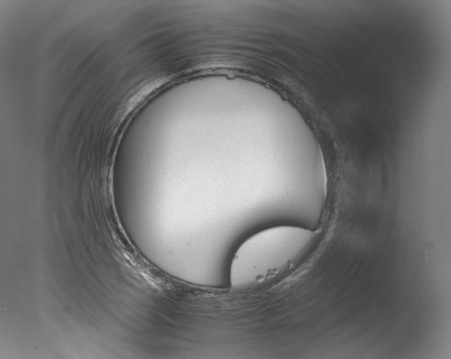 X0000077381121200610201033