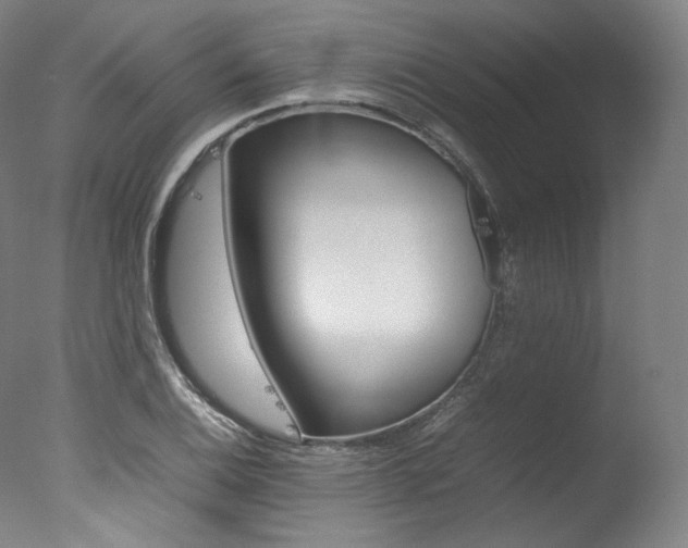 X0000077381124200610201033