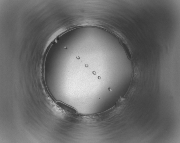 X0000077381138200610201034