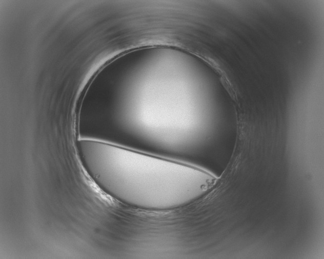 X0000077381140200610201035