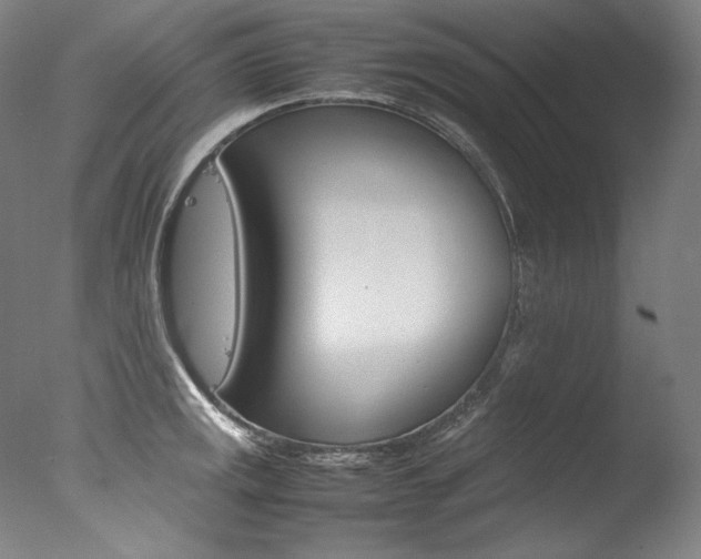 X0000077381141200610201035