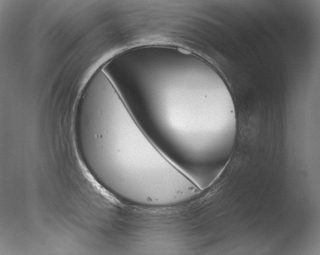 X0000077381142200610201035