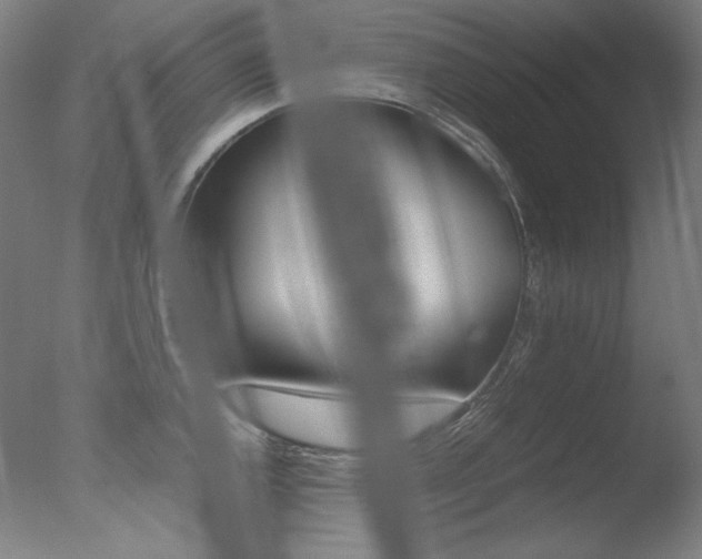 X0000077381144200610201035