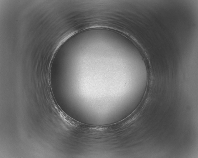 X0000077381145200610201035