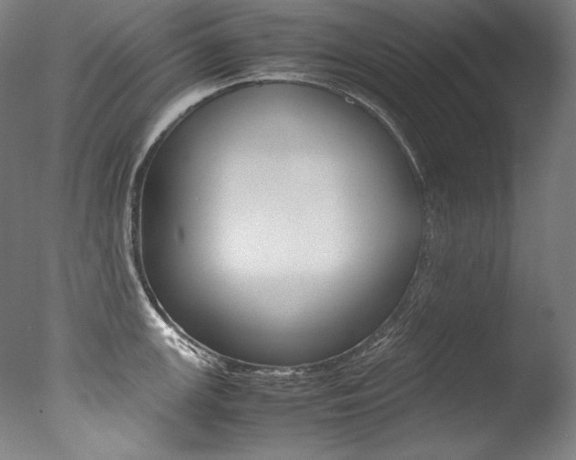 X0000077381147200610201035