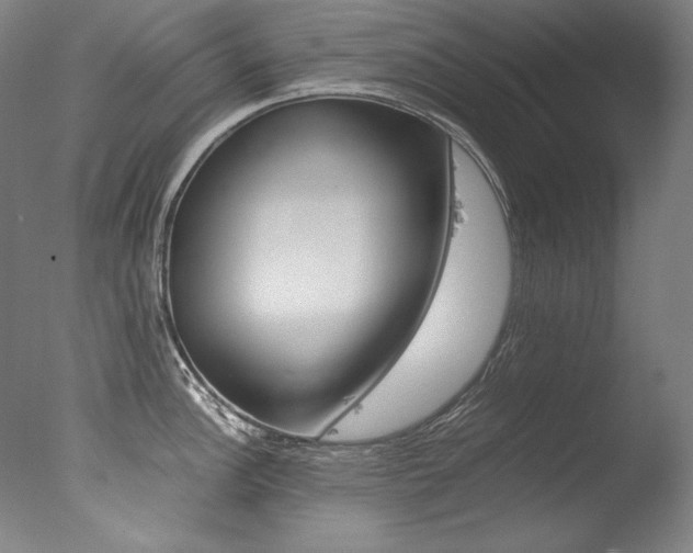 X0000077381148200610201035