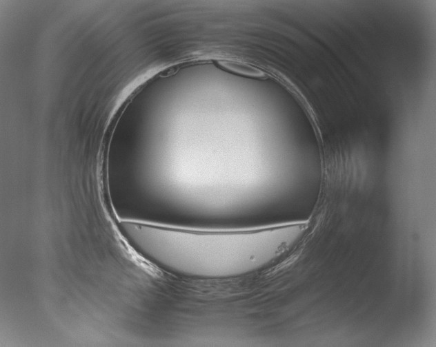 X0000077381149200610201035