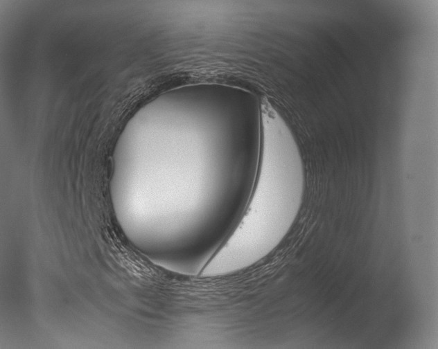 X0000077381153200610201033