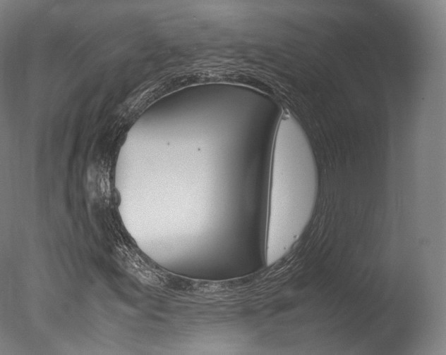 X0000077381155200610201033