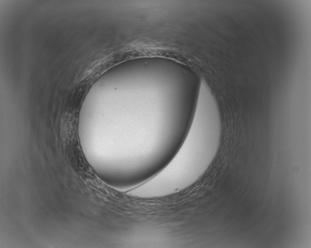 X0000077381157200610201033