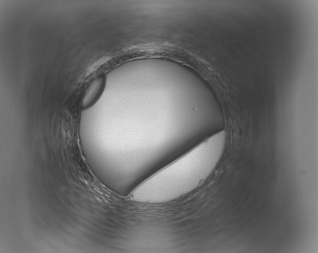 X0000077381158200610201033